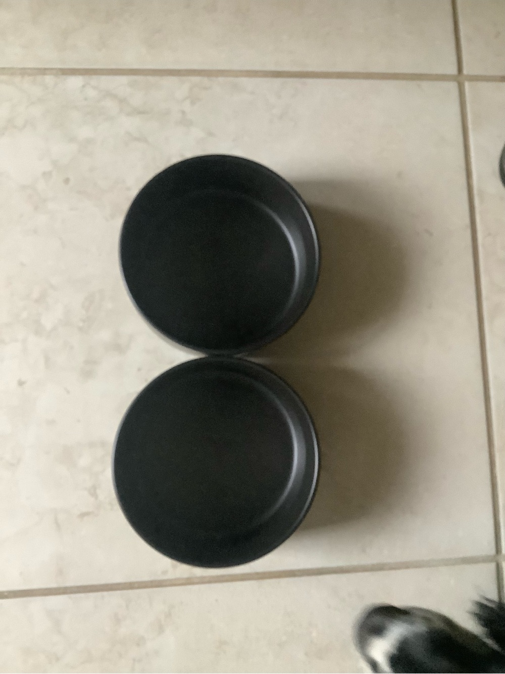 Set Dog Food Bowls Ceramic Black Matte 6” ea